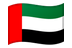 UAE flag
